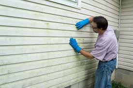 Best Vinyl Siding Installation  in Silver Lake, NC